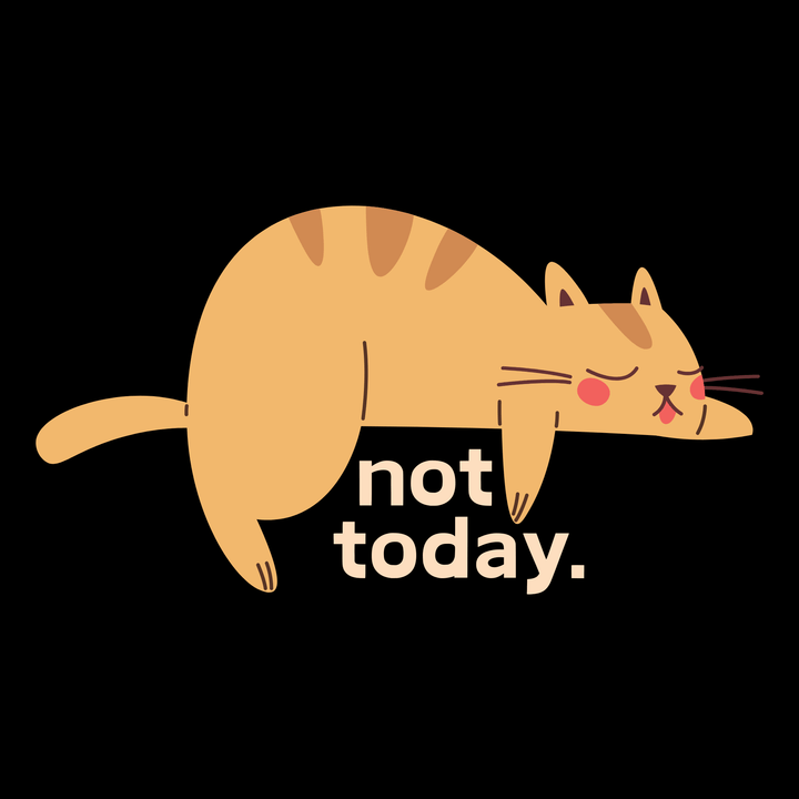 Not Today - Unisex Jersey Tee / Women's Fitted Jersey Tee